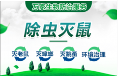 专业除四害除虫除蚁提供除蟑螂服务